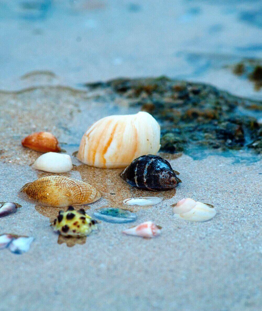 Aerial view of a coastal town representing our travel destinations